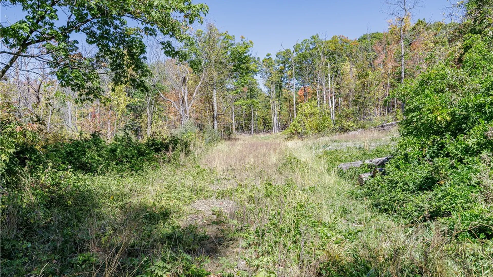 Property at 8302 Wesley Road, Richmond, NY 14471 11