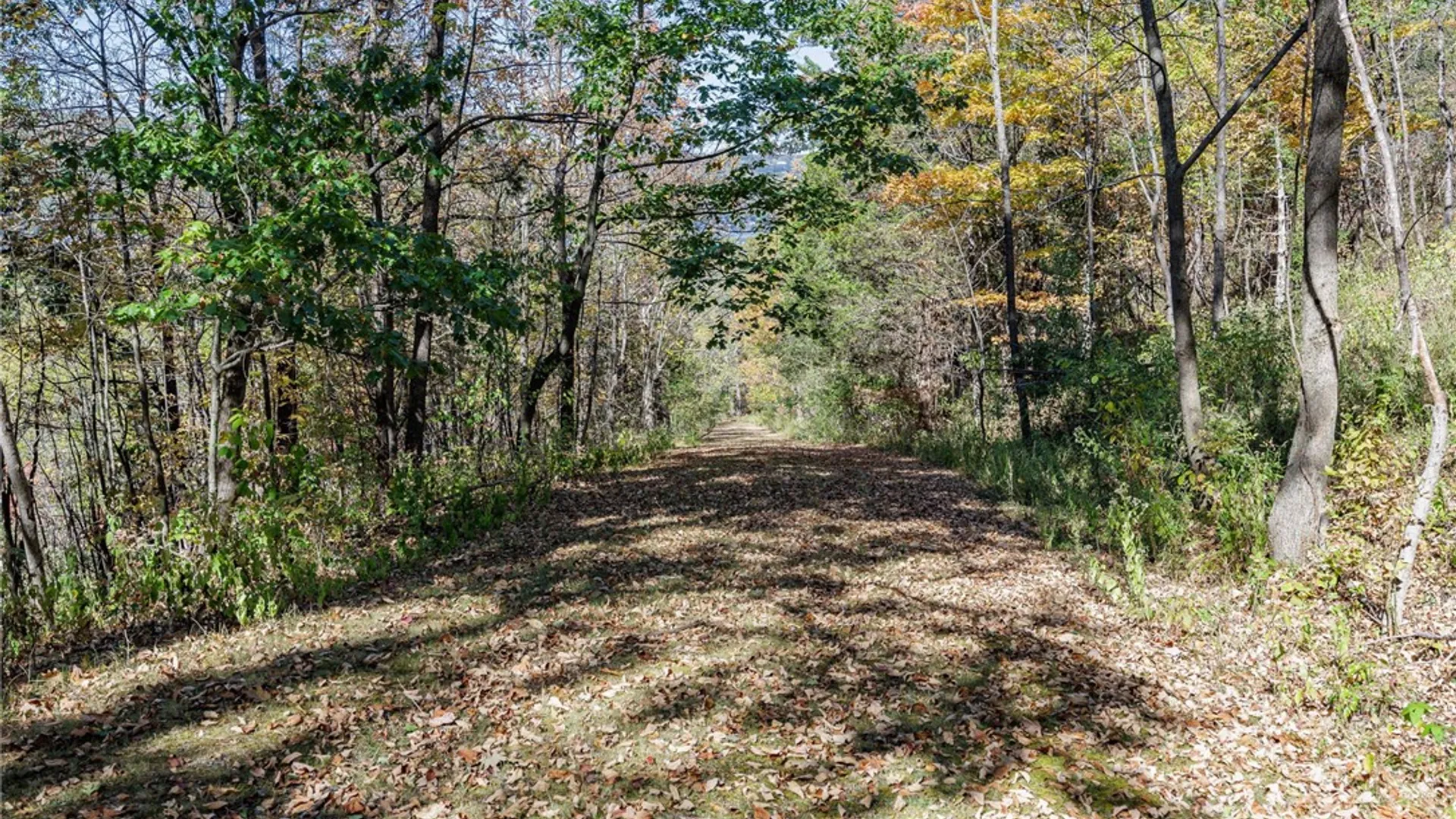 Property at 8302 Wesley Road, Richmond, NY 14471 12