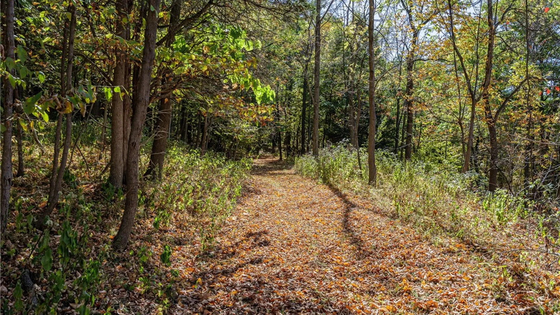 Property at 8302 Wesley Road, Richmond, NY 14471 13