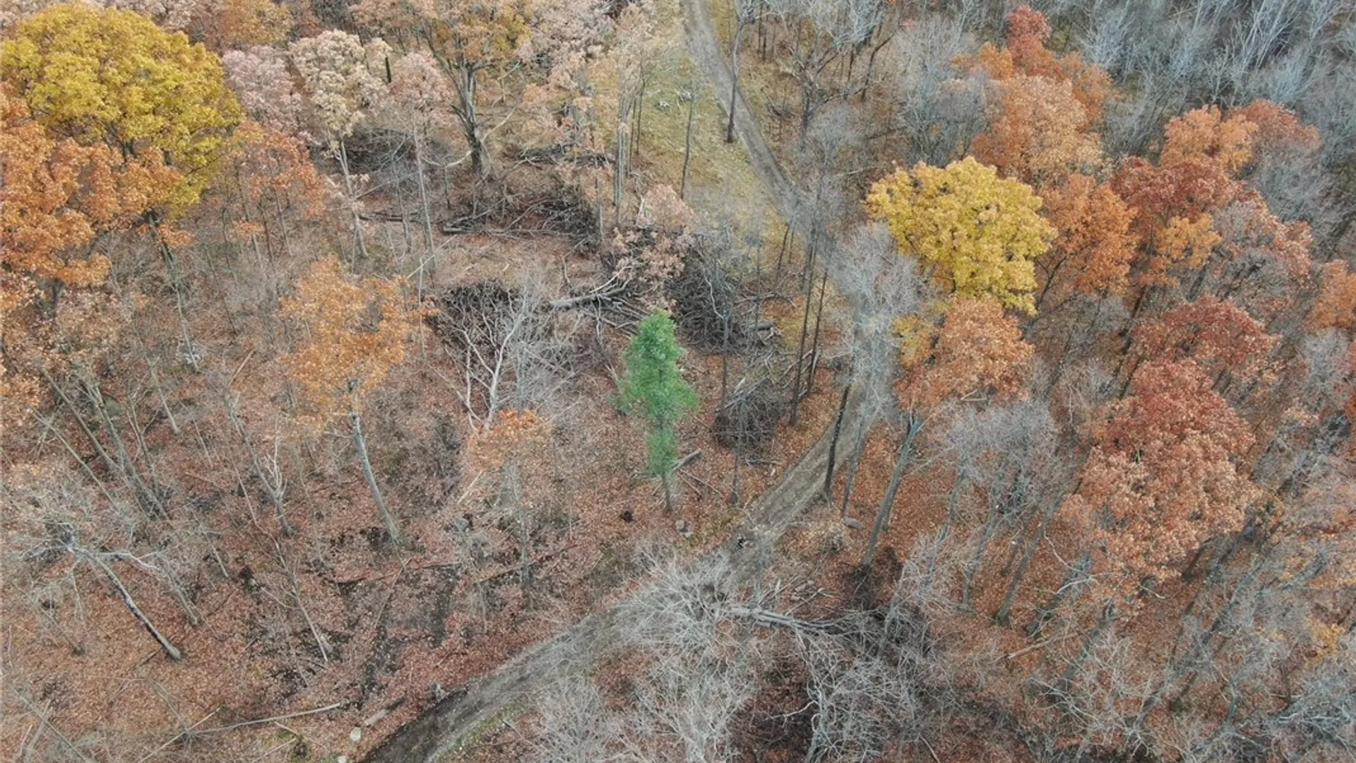 Property at 8302 Wesley Road, Richmond, NY 14471 2