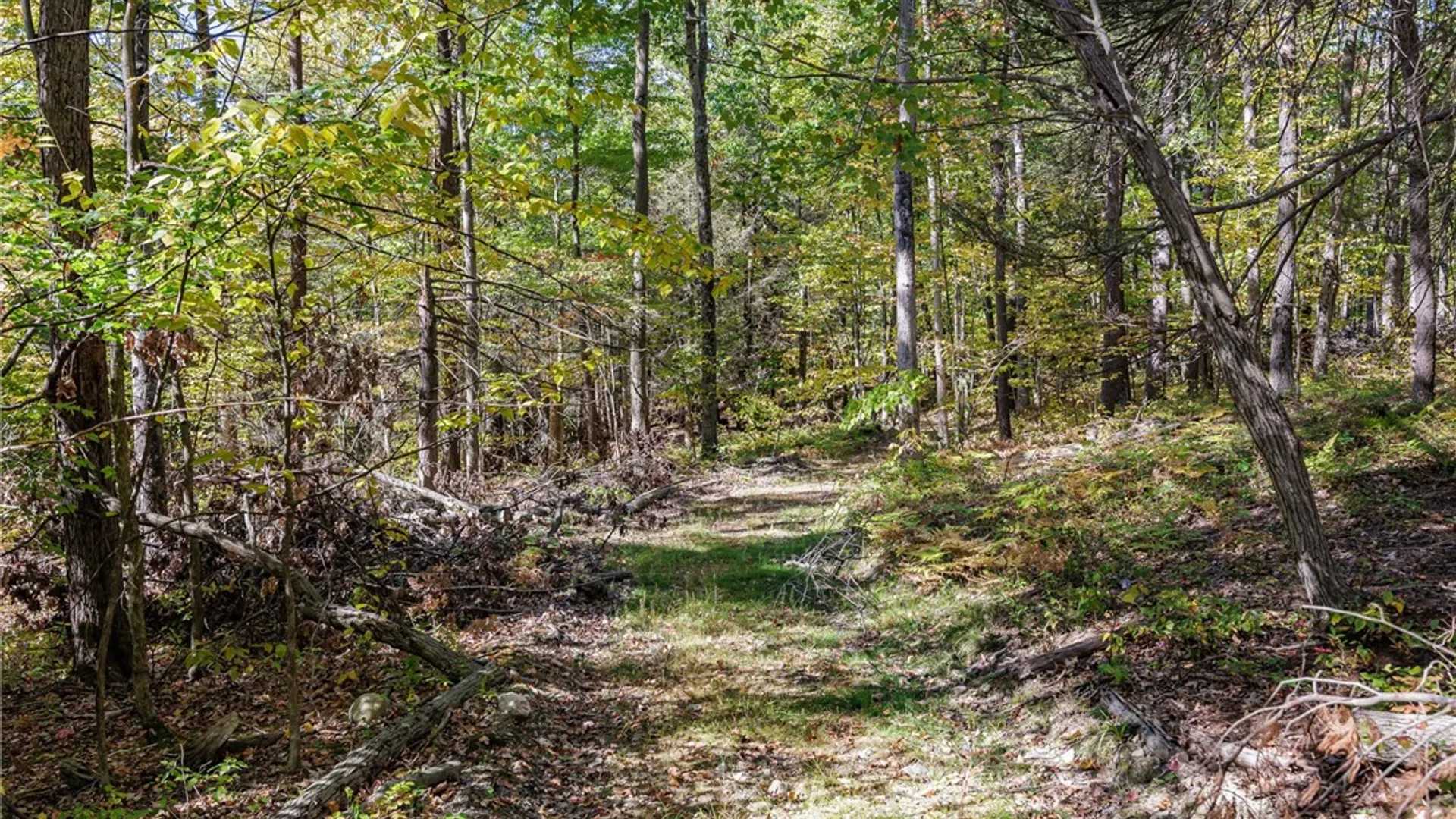 Property at 8302 Wesley Road, Richmond, NY 14471 20