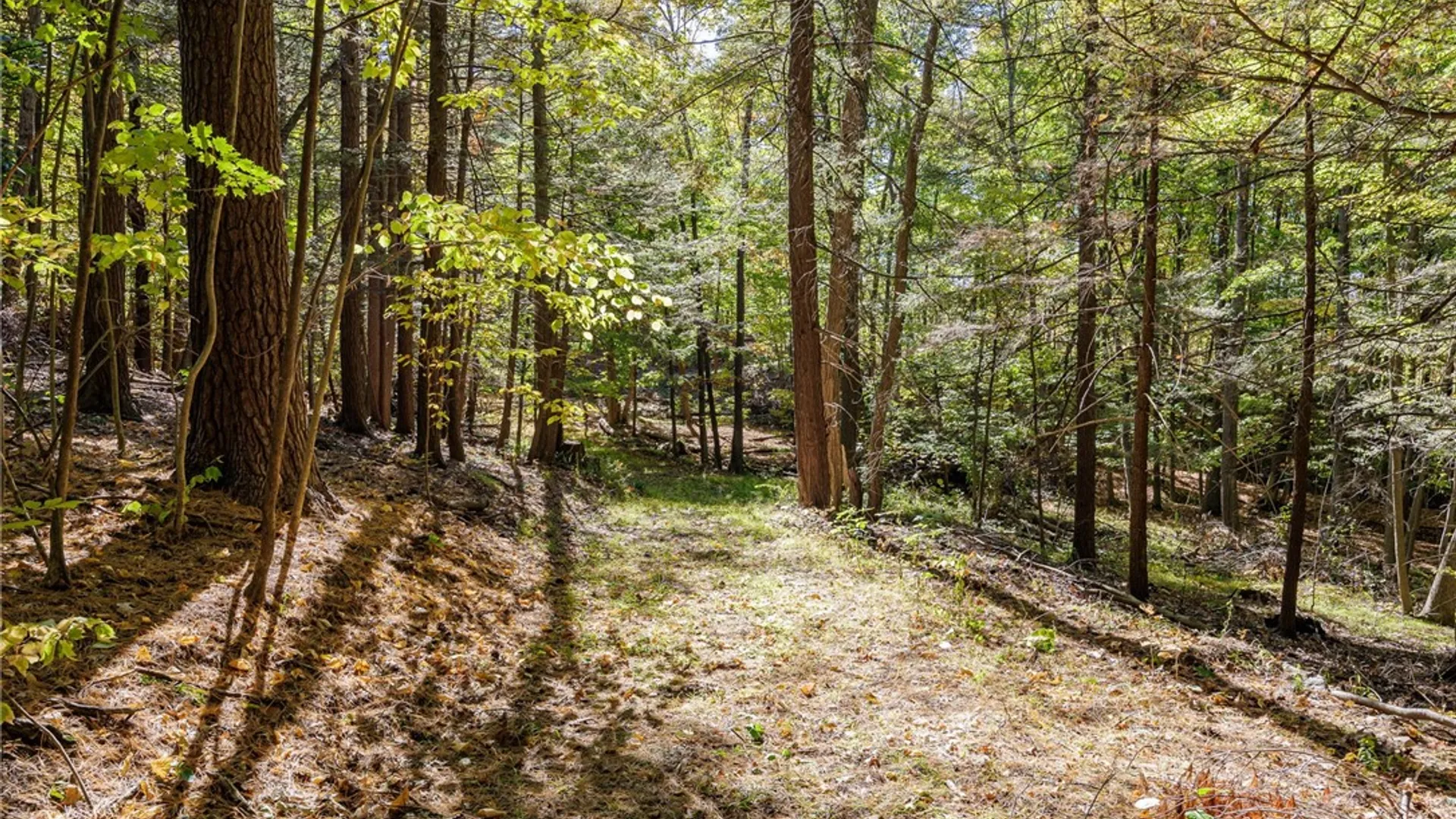 Property at 8302 Wesley Road, Richmond, NY 14471 21