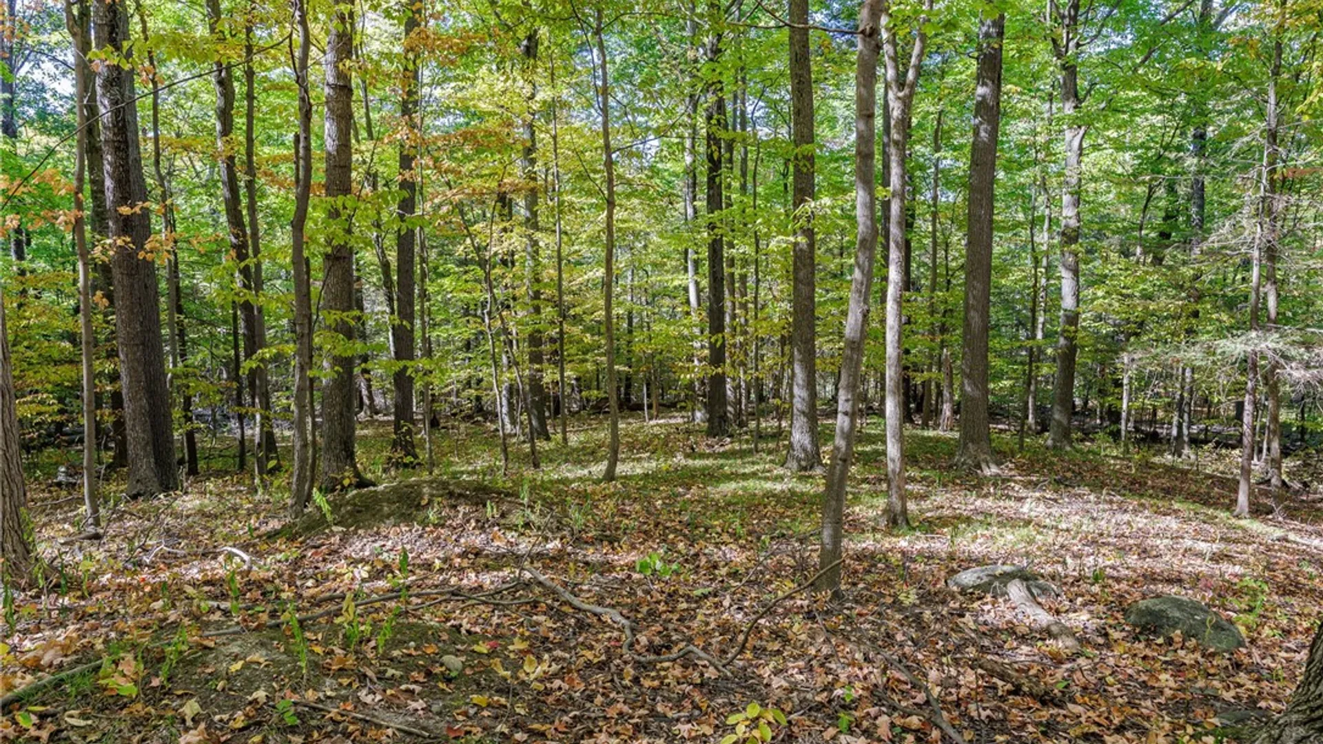 Property at 8302 Wesley Road, Richmond, NY 14471 22