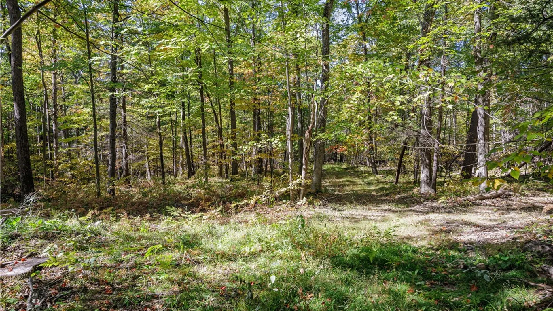 Property at 8302 Wesley Road, Richmond, NY 14471 23