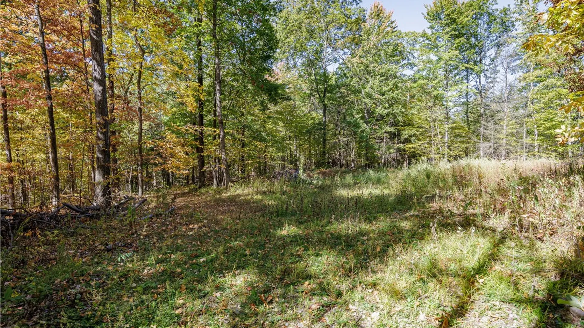 Property at 8302 Wesley Road, Richmond, NY 14471 24