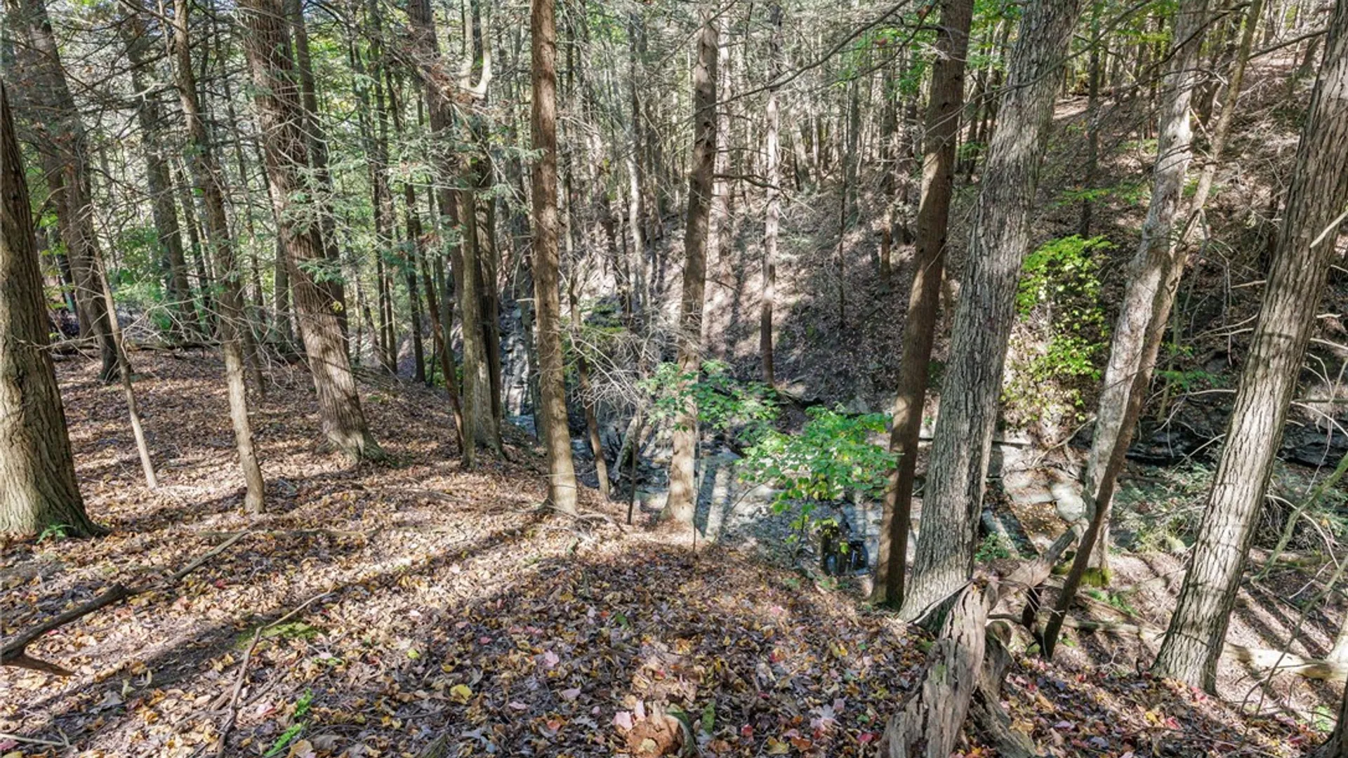 Property at 8302 Wesley Road, Richmond, NY 14471 25