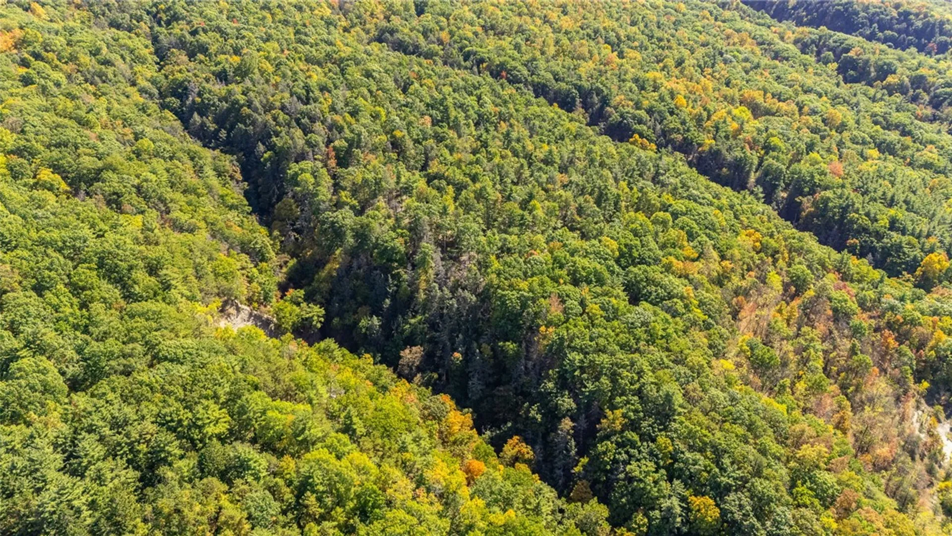 Property at 8302 Wesley Road, Richmond, NY 14471 27