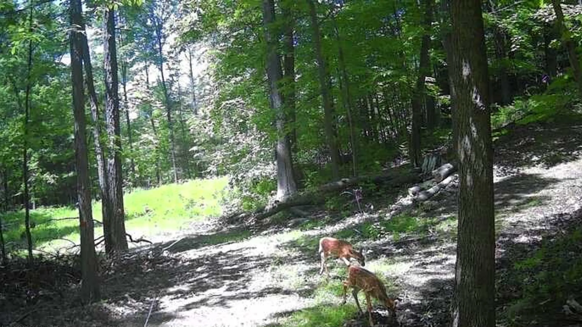 Property at 8302 Wesley Road, Richmond, NY 14471 28