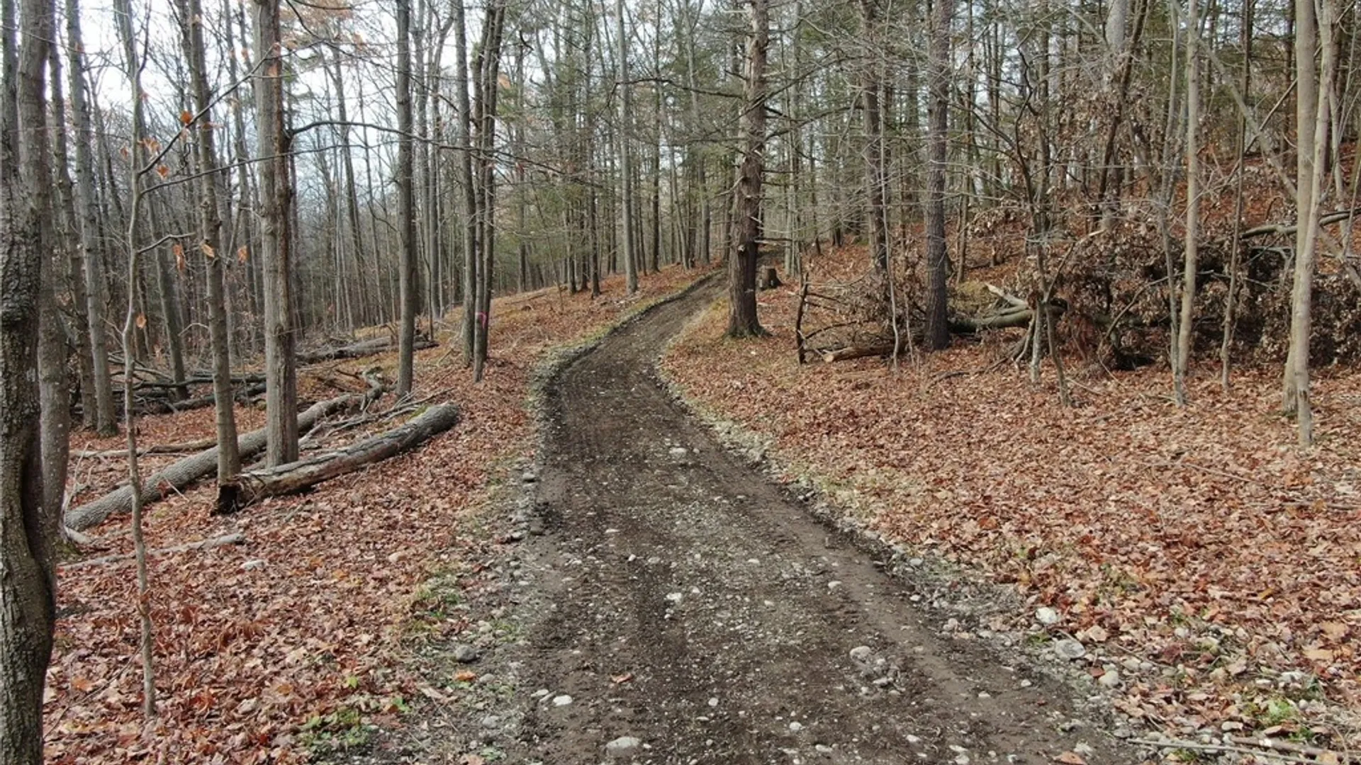 Property at 8302 Wesley Road, Richmond, NY 14471 3