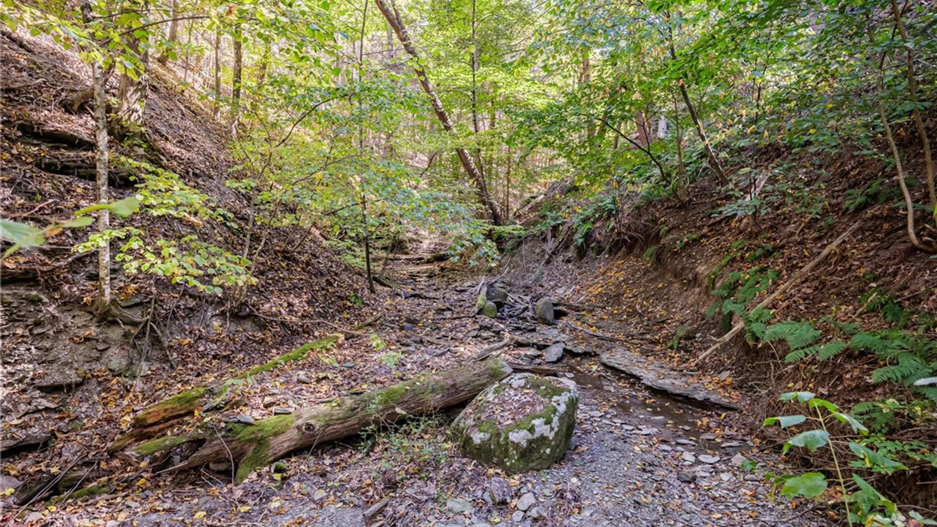 Property at 8302 Wesley Road, Richmond, NY 14471 34