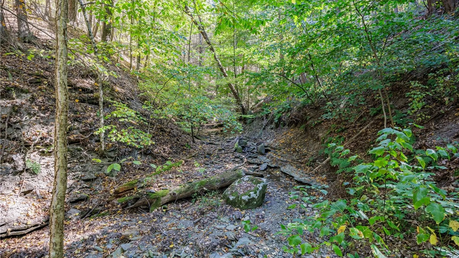 Property at 8302 Wesley Road, Richmond, NY 14471 35