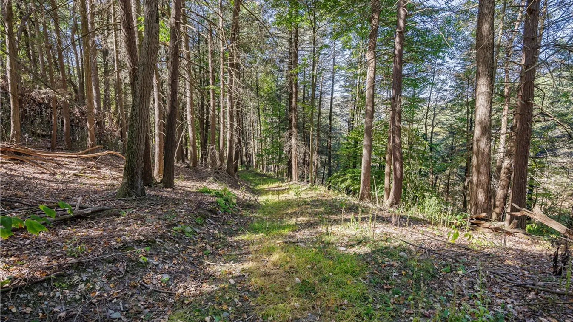 Property at 8302 Wesley Road, Richmond, NY 14471 36