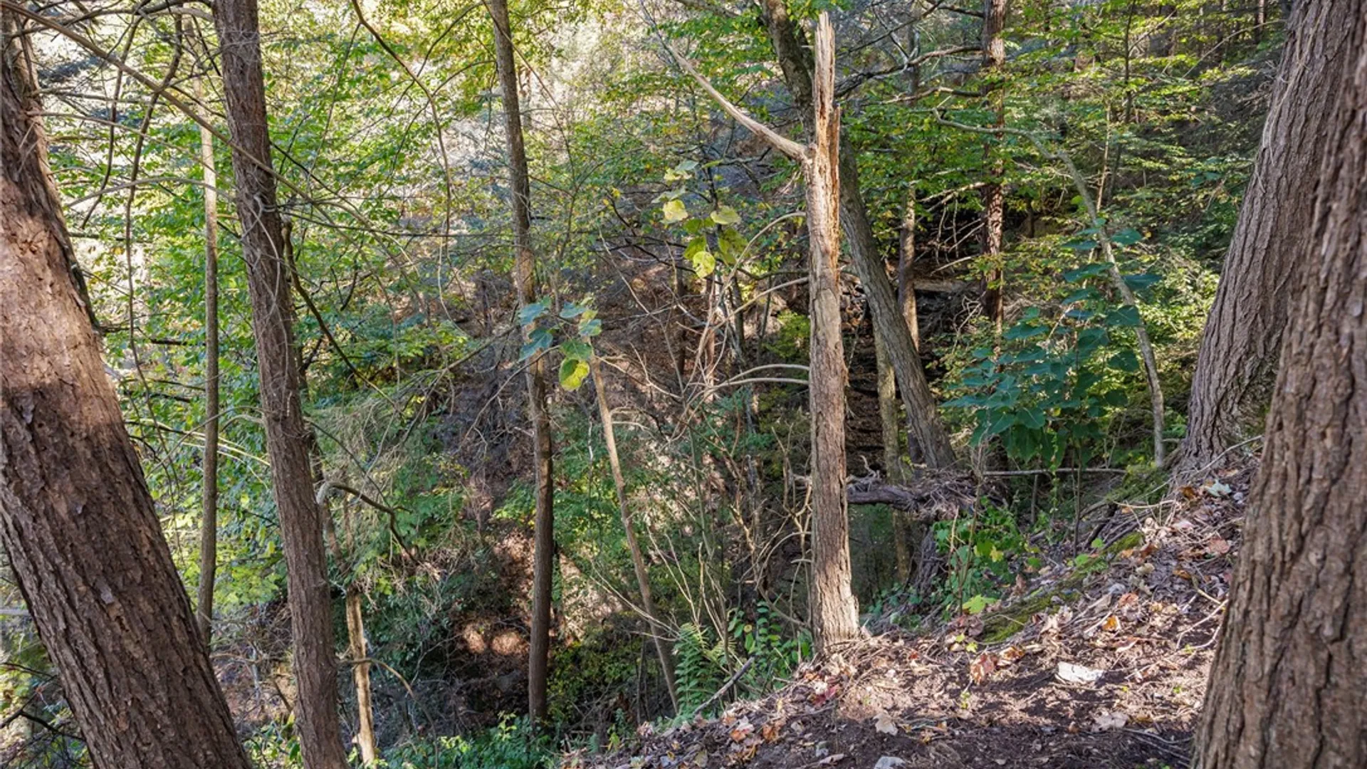 Property at 8302 Wesley Road, Richmond, NY 14471 37