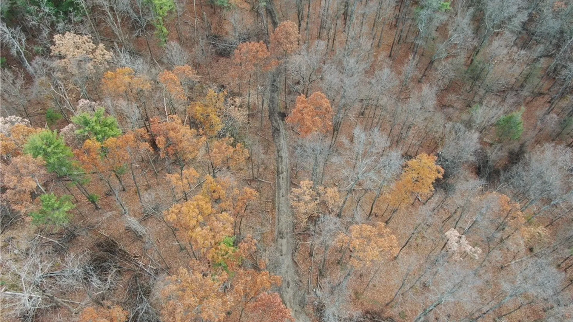 Property at 8302 Wesley Road, Richmond, NY 14471 4