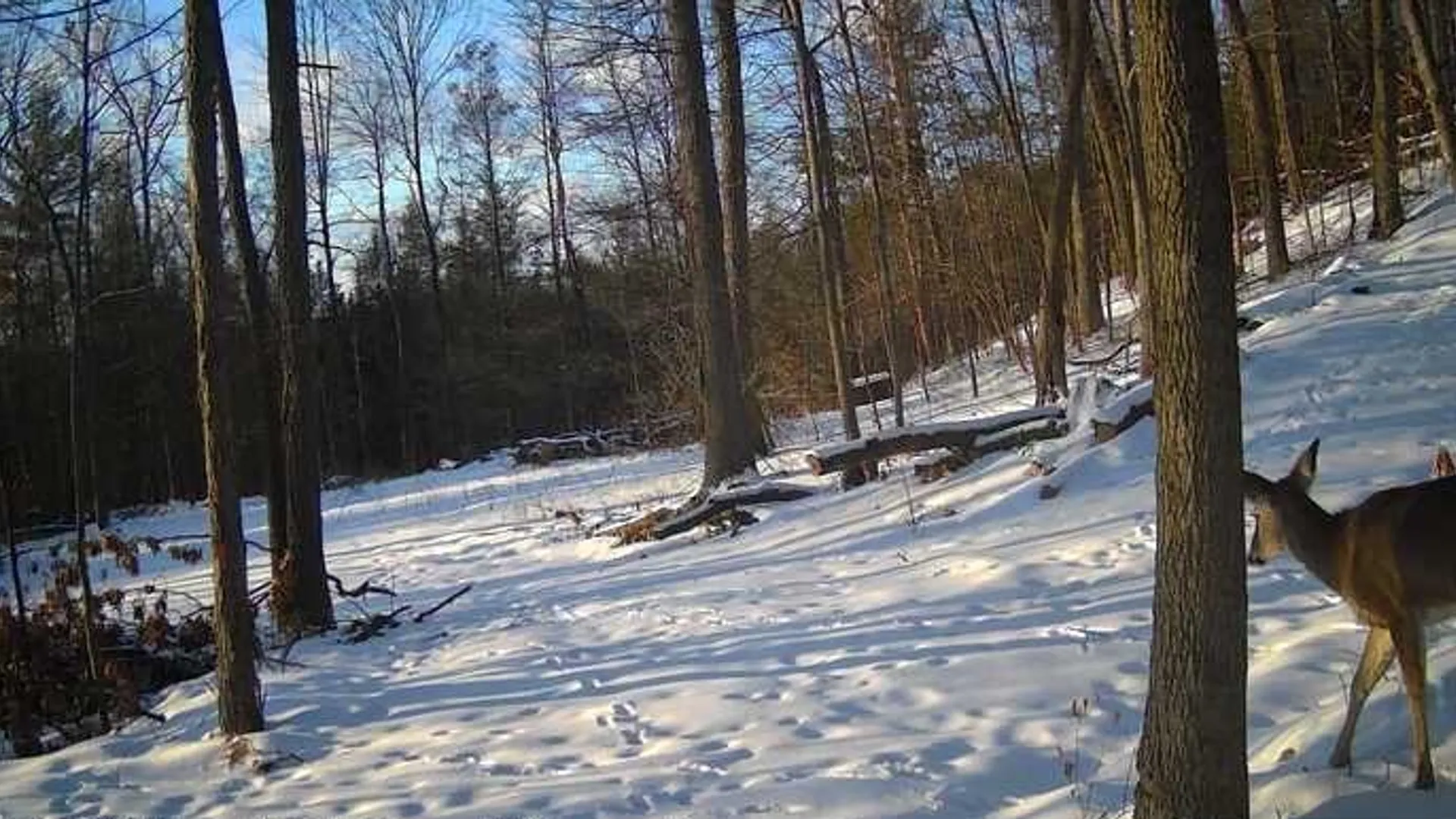 Property at 8302 Wesley Road, Richmond, NY 14471 40