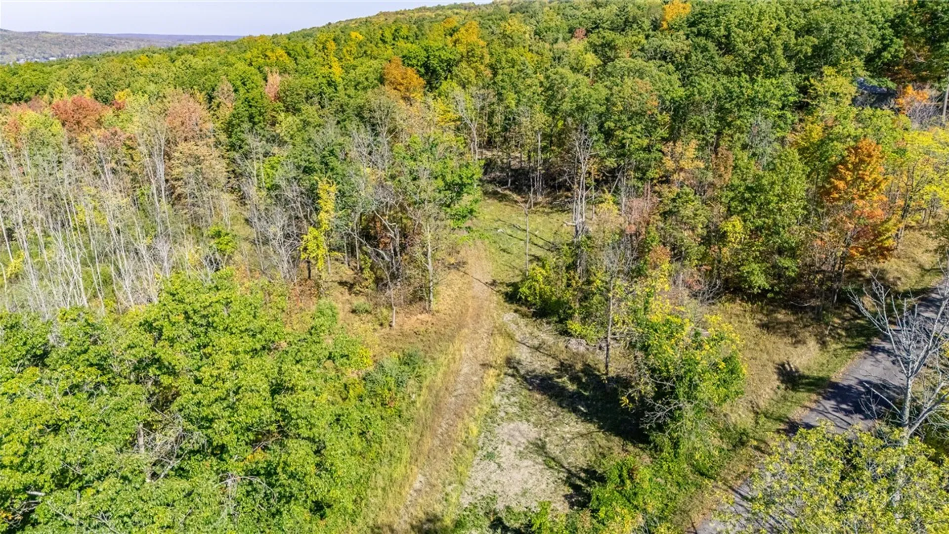 Property at 8302 Wesley Road, Richmond, NY 14471 5