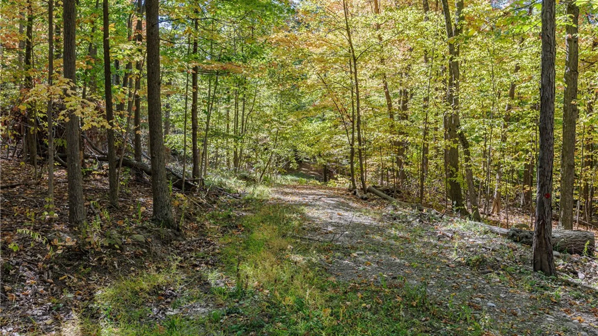 Property at 8302 Wesley Road, Richmond, NY 14471 6