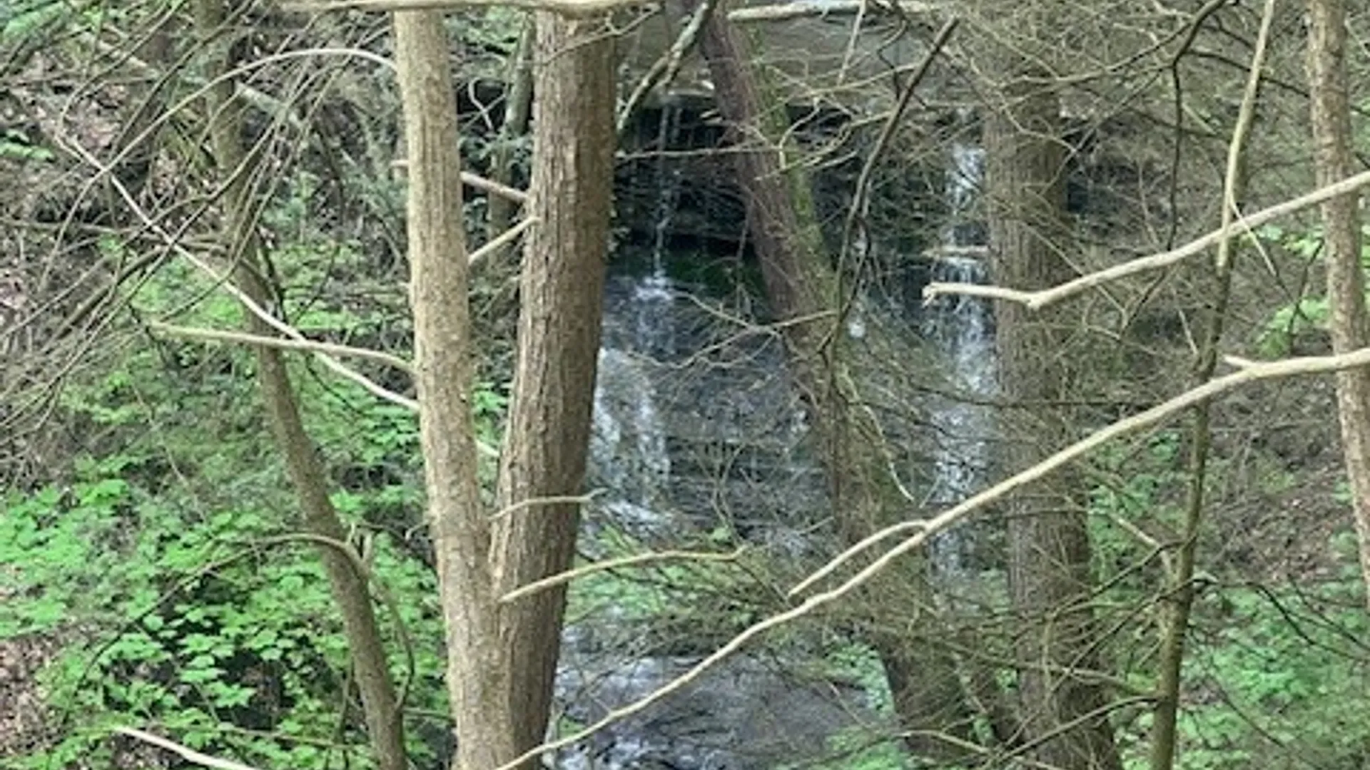 Property at 8302 Wesley Road, Richmond, NY 14471 7