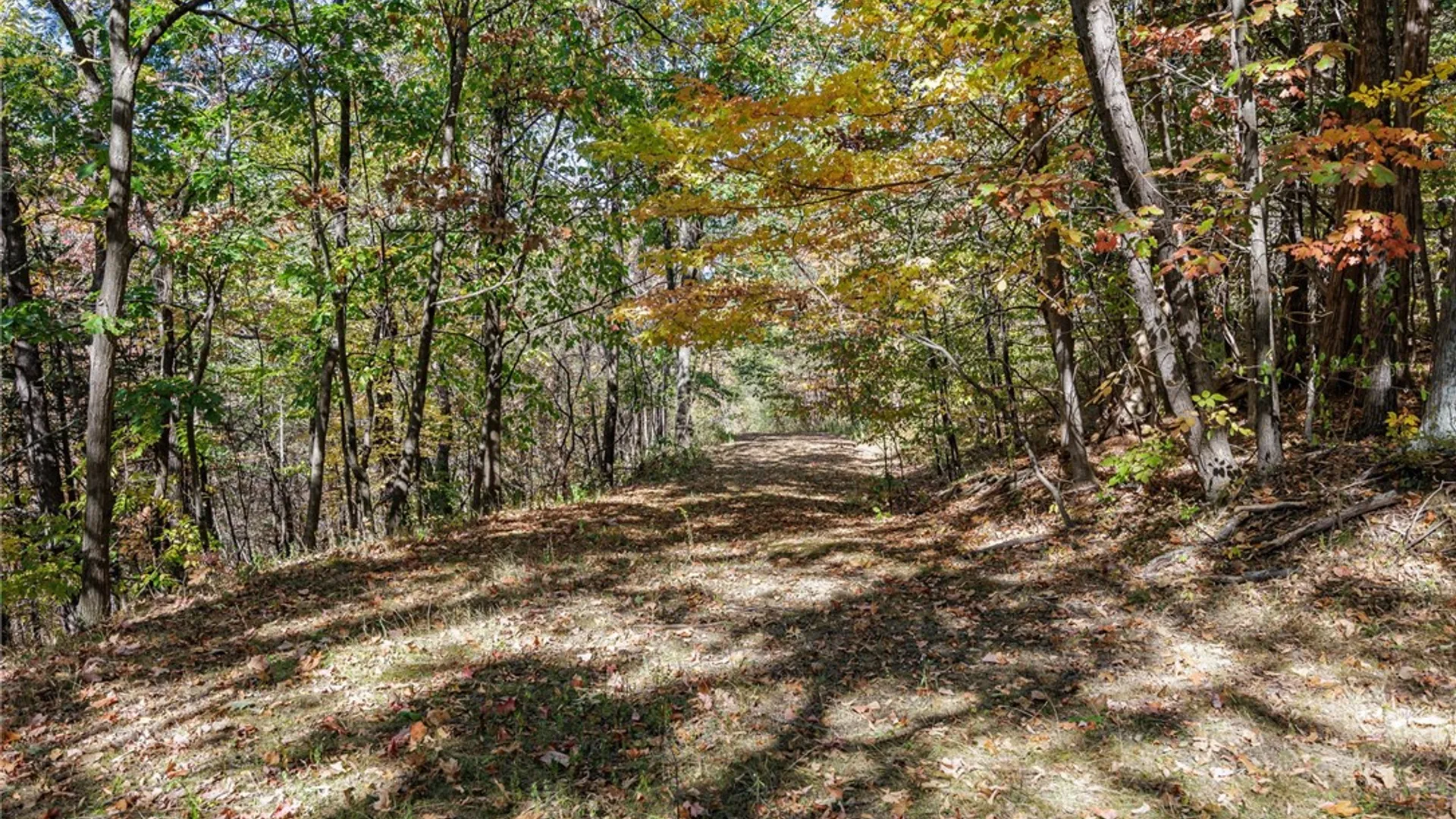 Property at 8302 Wesley Road, Richmond, NY 14471 8