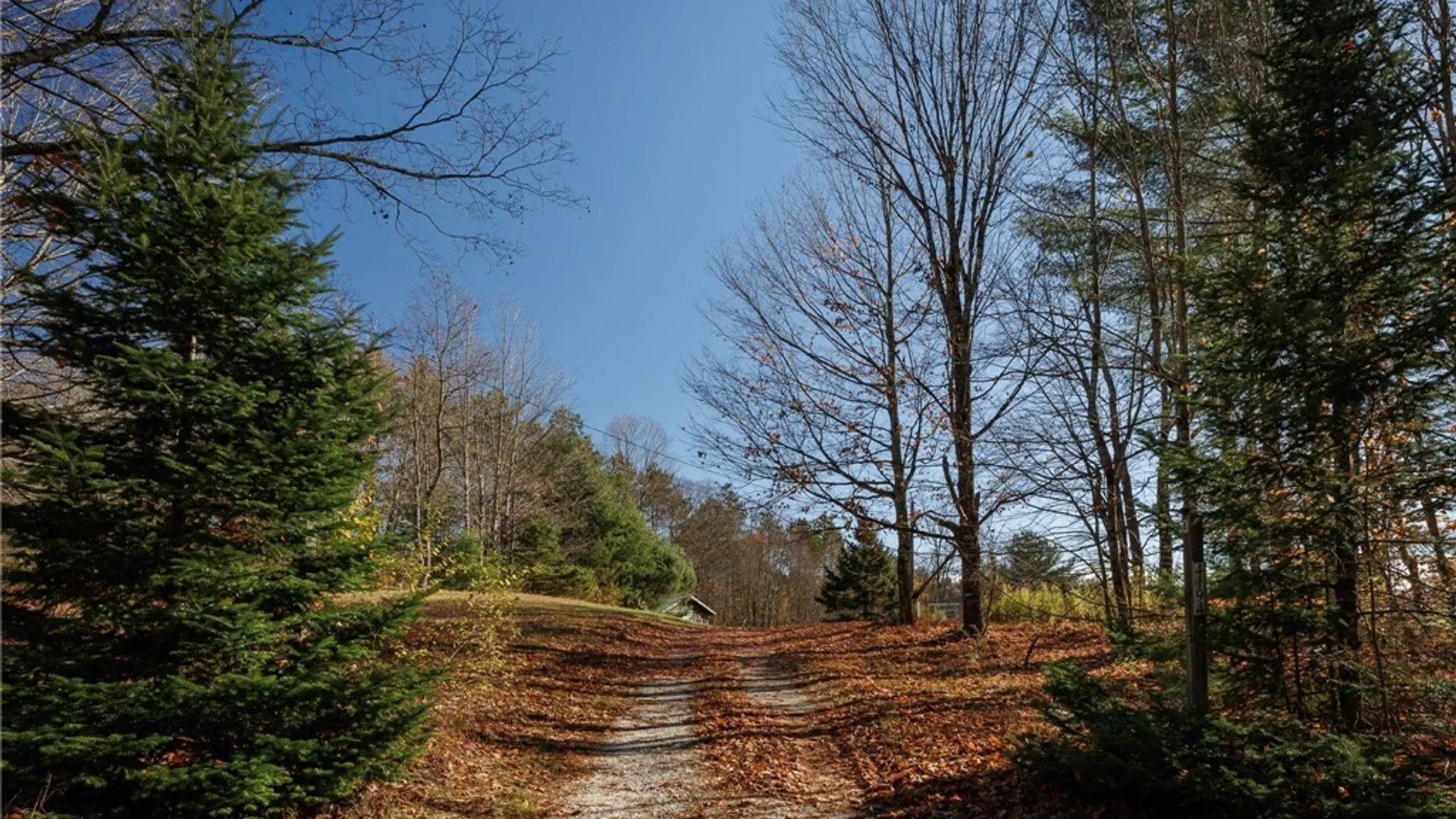Property at 4194 Factory Road, Diana, NY 13665 27