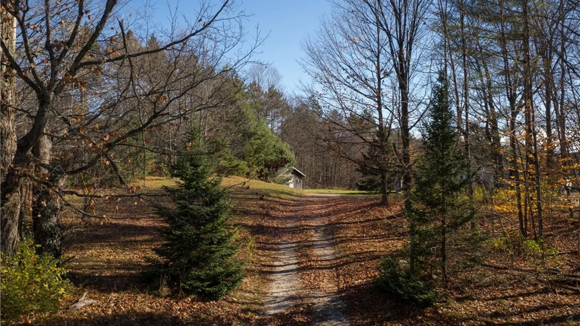 Property at 4194 Factory Road, Diana, NY 13665 28