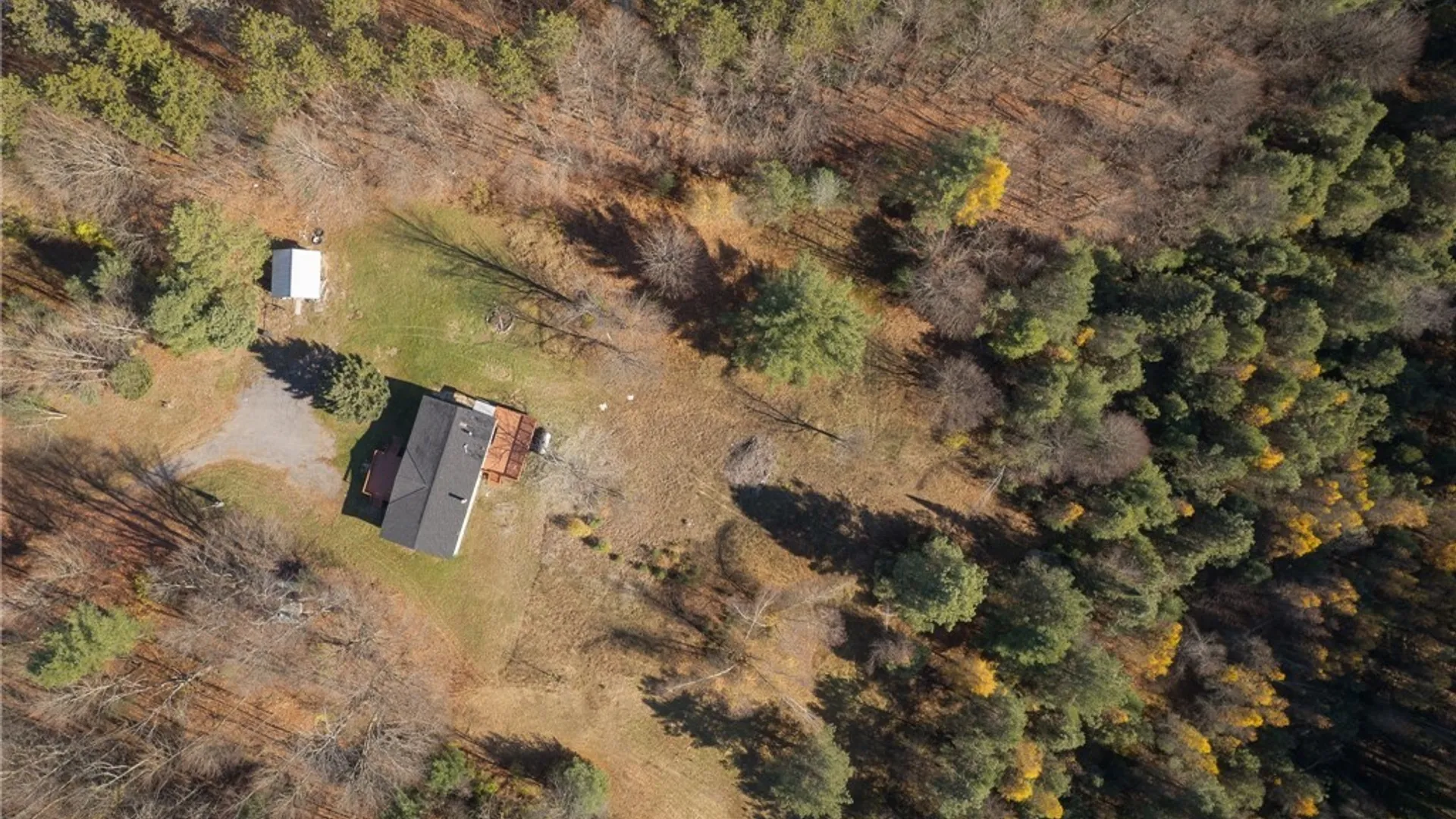 Property at 4194 Factory Road, Diana, NY 13665 37