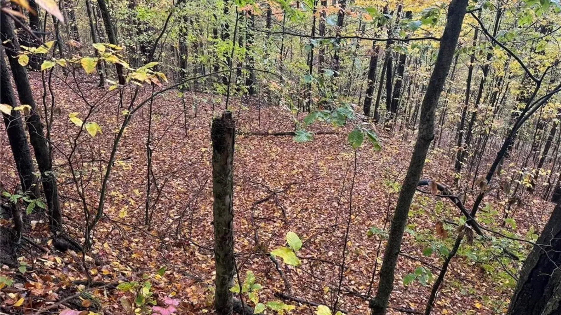 Property at Co Rd 5, Genesee, NY 14770 11