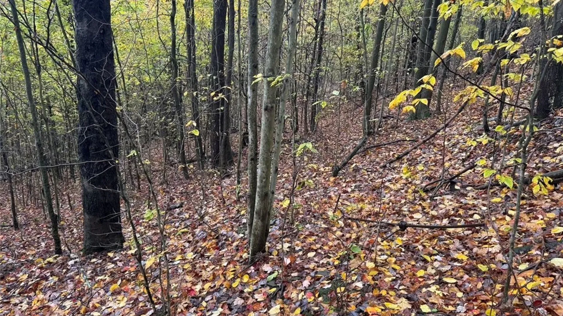 Property at Co Rd 5, Genesee, NY 14770 12