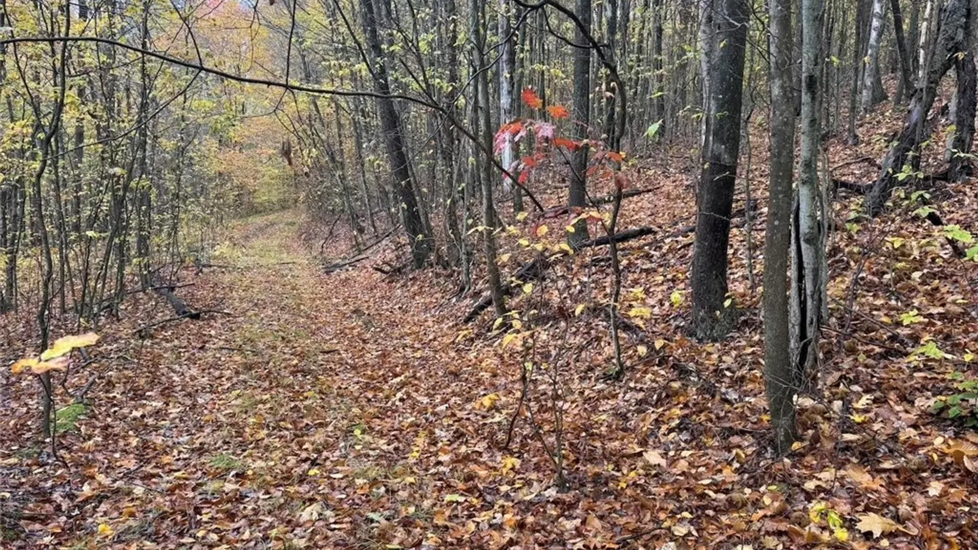 Property at Co Rd 5, Genesee, NY 14770 14