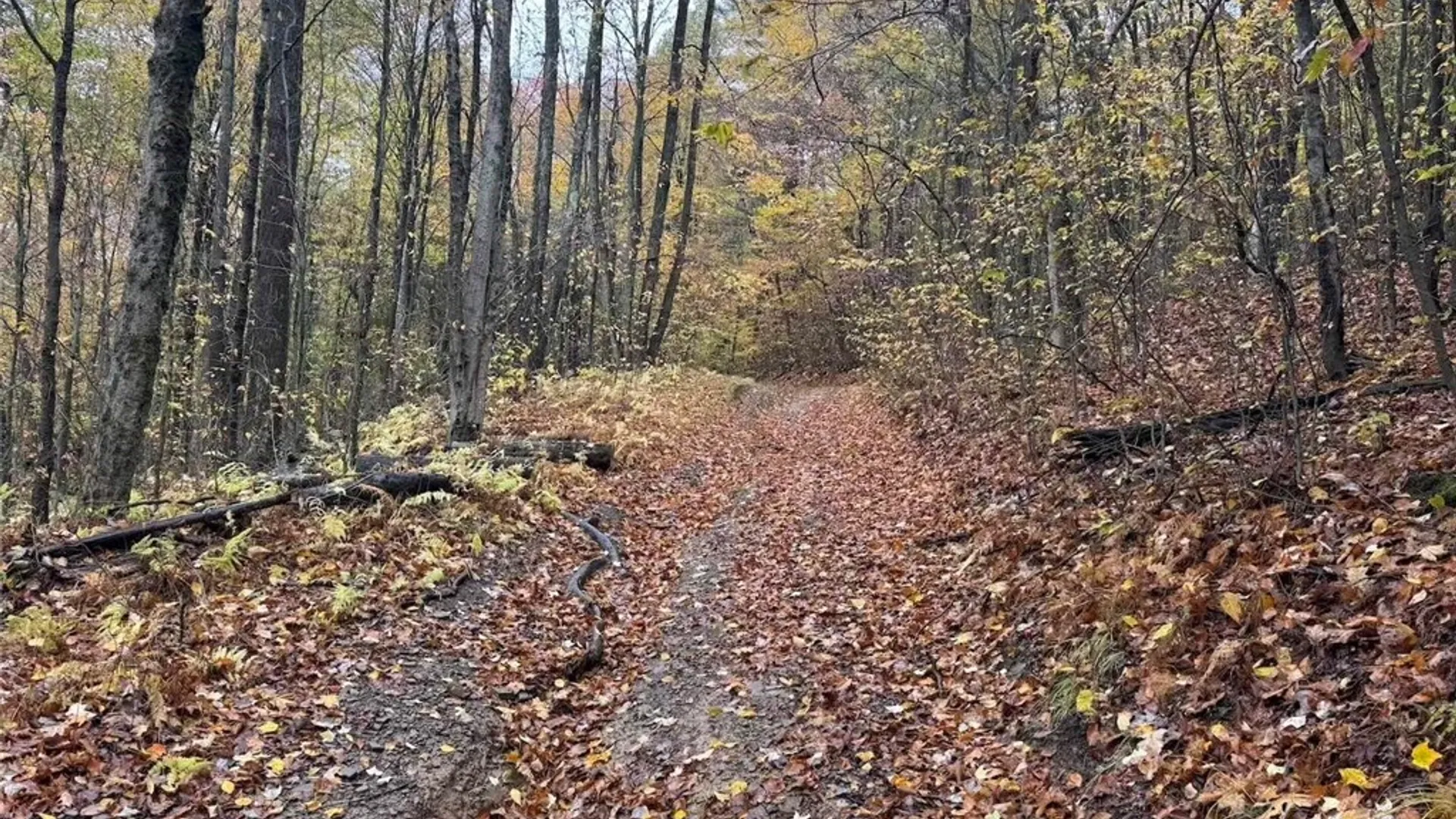 Property at Co Rd 5, Genesee, NY 14770 15
