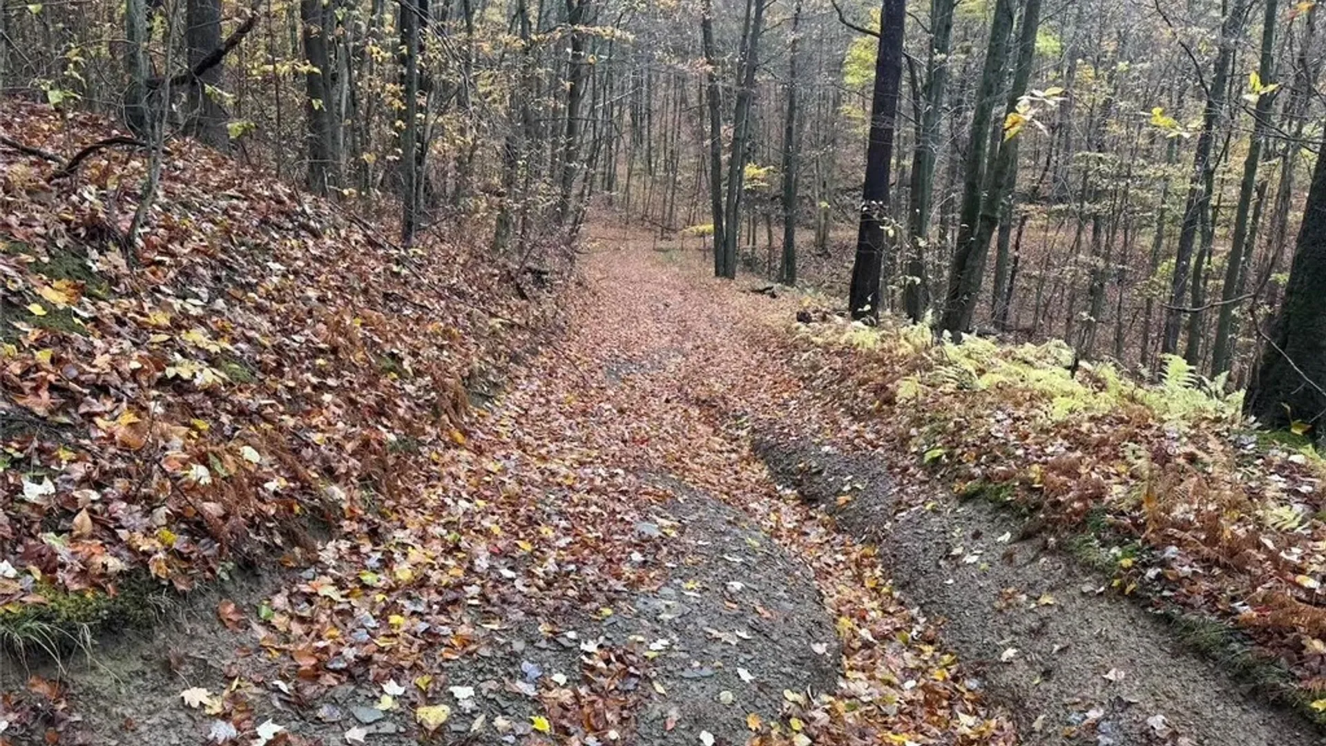 Property at Co Rd 5, Genesee, NY 14770 16