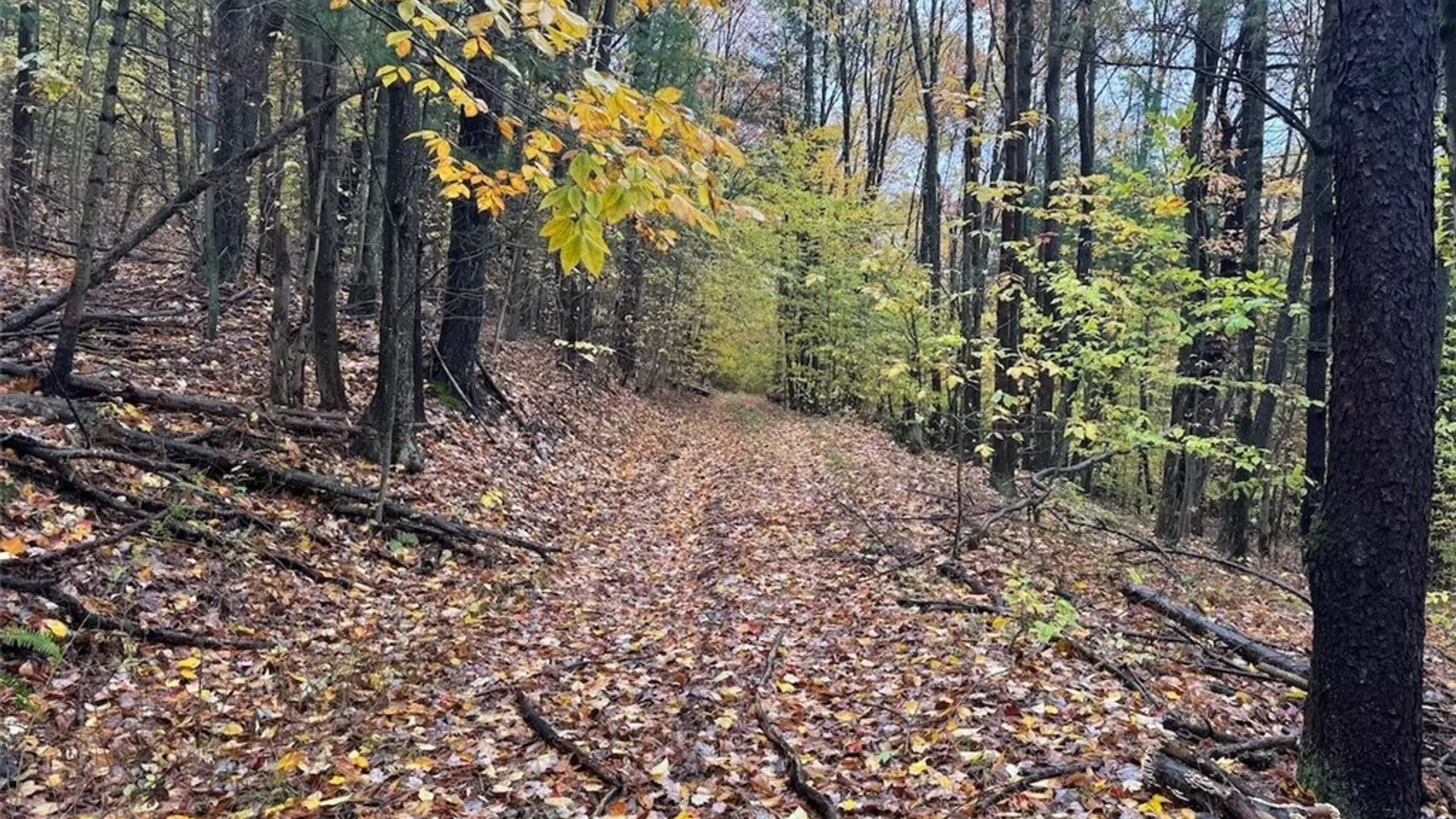 Property at Co Rd 5, Genesee, NY 14770 4