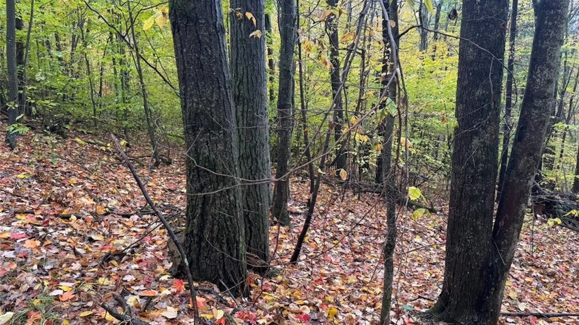 Property at Co Rd 5, Genesee, NY 14770 5