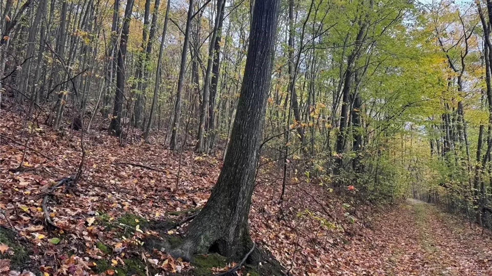 Property at Co Rd 5, Genesee, NY 14770 6