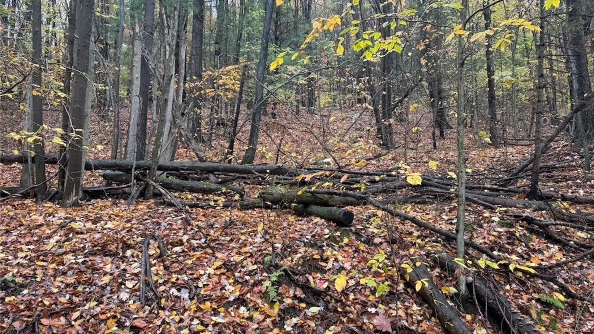 Property at Co Rd 5, Genesee, NY 14770 7