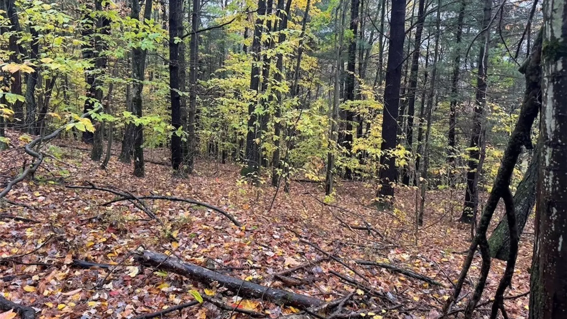 Property at Co Rd 5, Genesee, NY 14770 8
