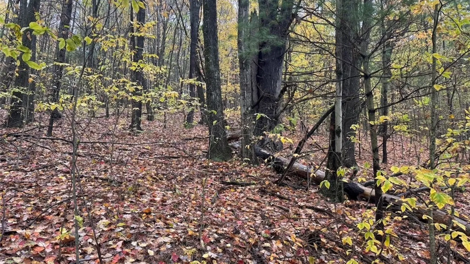 Property at Co Rd 5, Genesee, NY 14770 9
