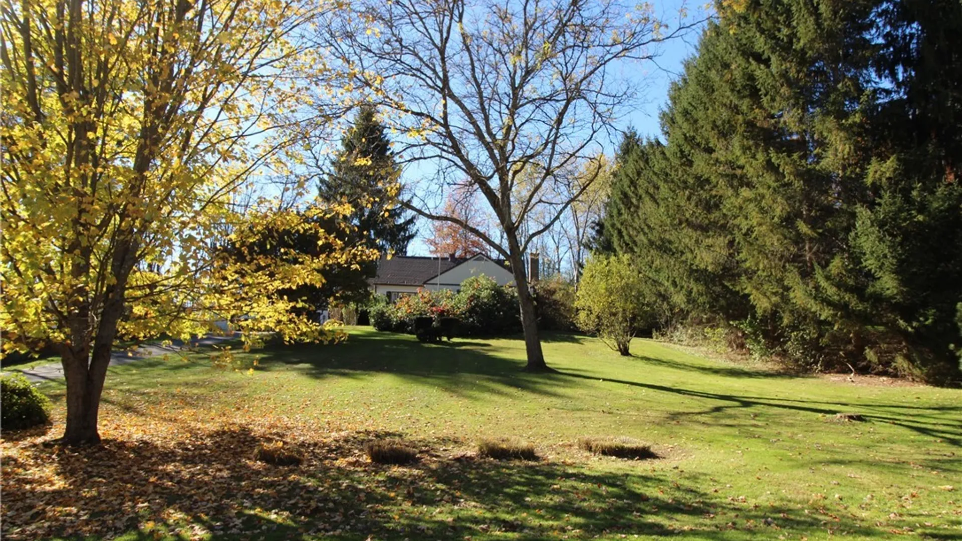 Property at 3467 Belleview Road, Ellery, NY 14712 14