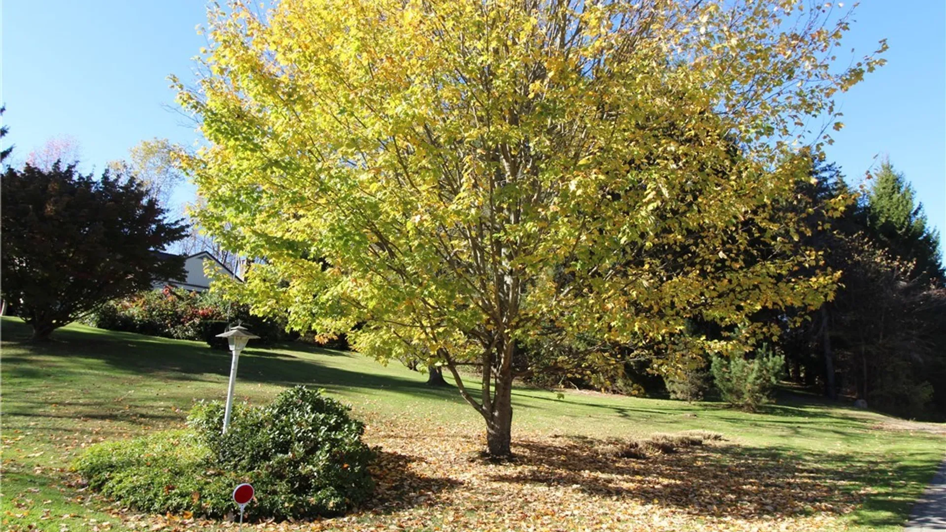 Property at 3467 Belleview Road, Ellery, NY 14712 15