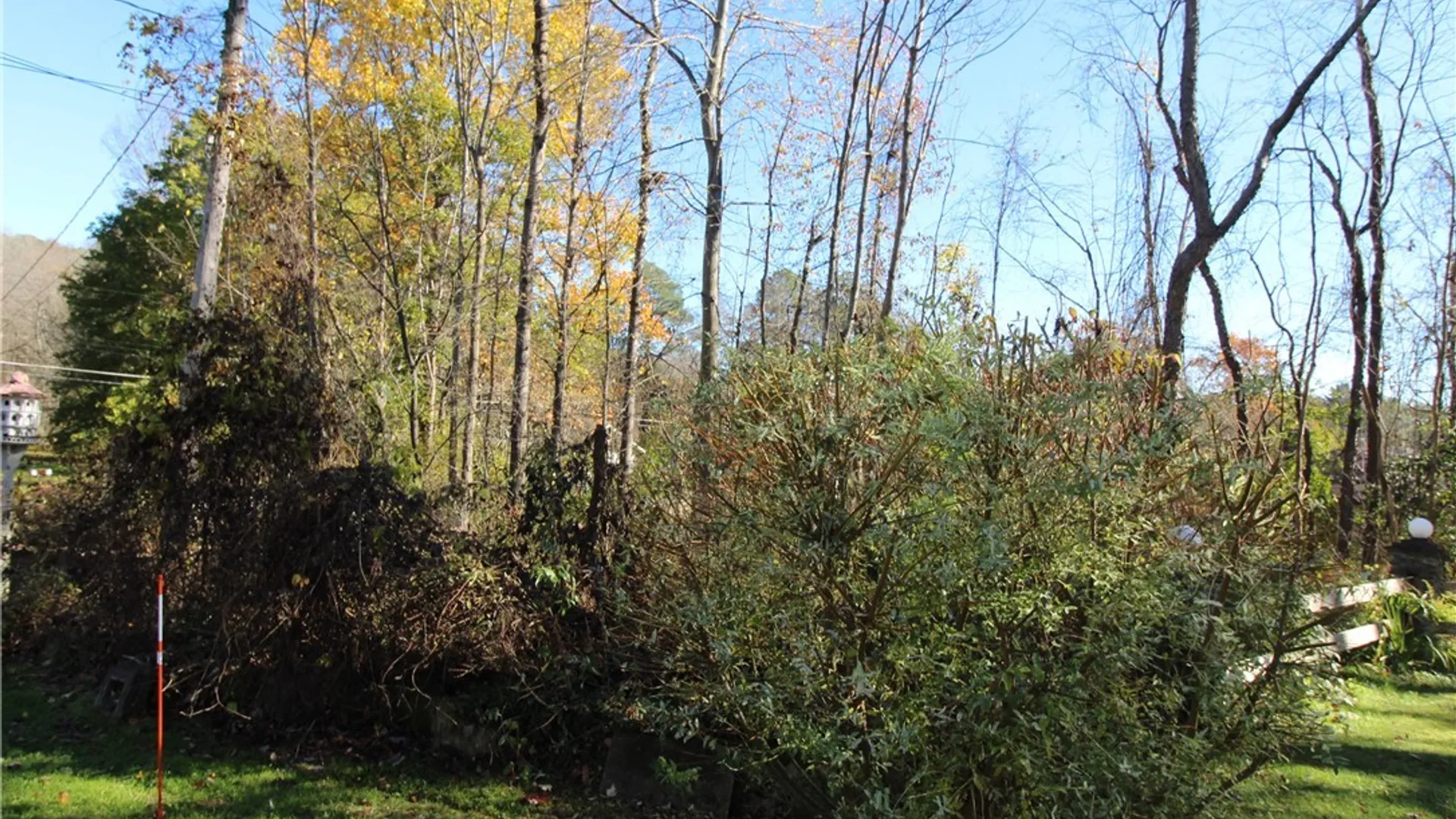 Property at 3467 Belleview Road, Ellery, NY 14712 9