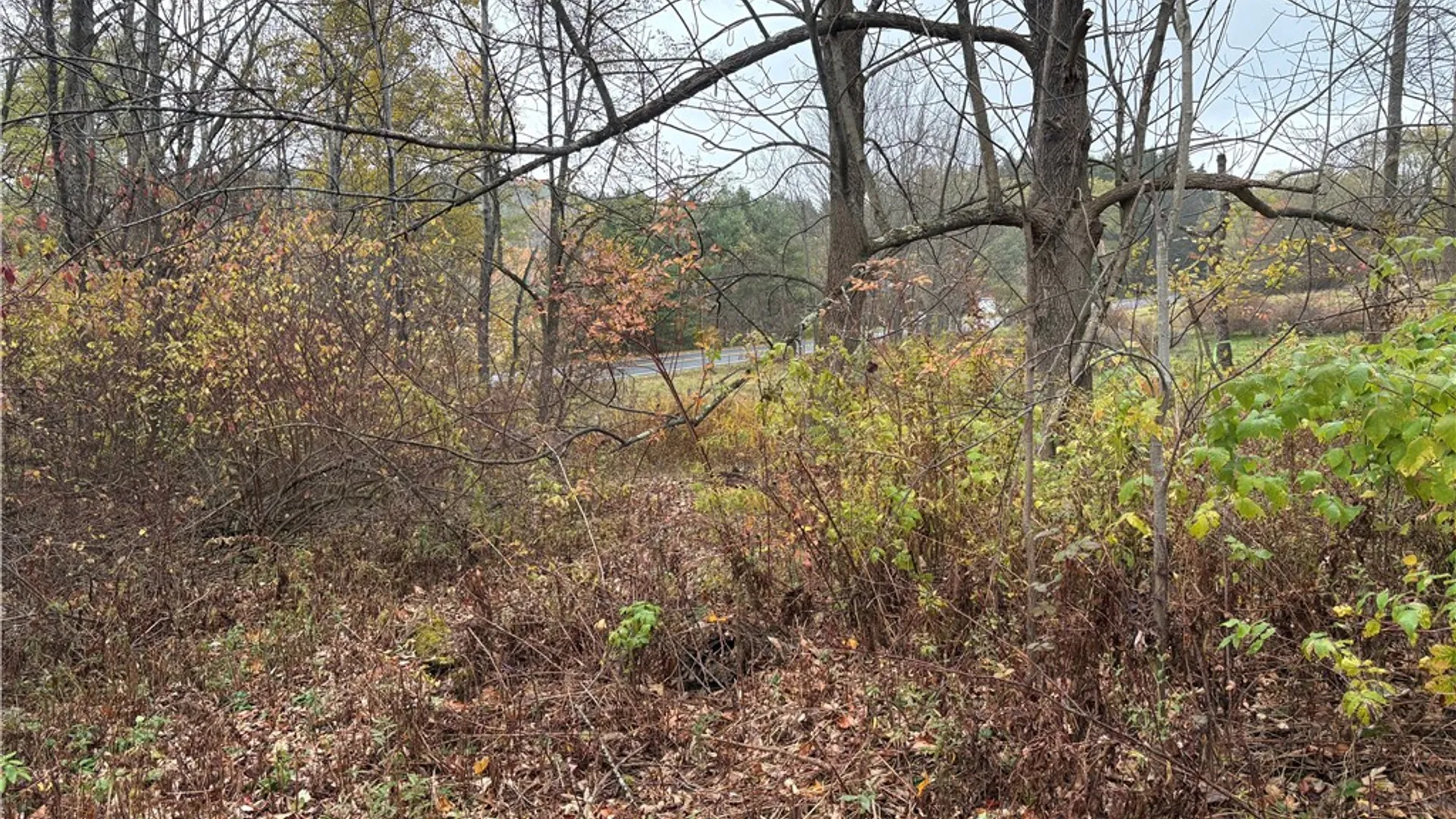 Property at 0 County Highway 13, Pittsfield, NY 13411 3