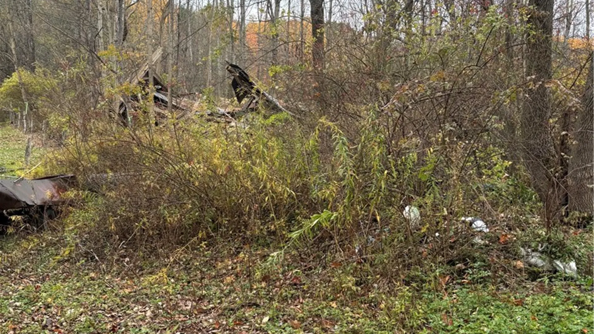 Property at 0 County Highway 13, Pittsfield, NY 13411 4