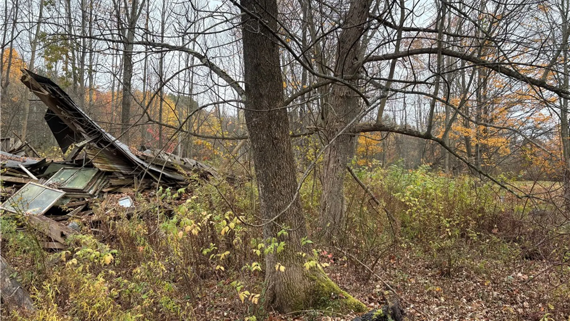 Property at 0 County Highway 13, Pittsfield, NY 13411 8
