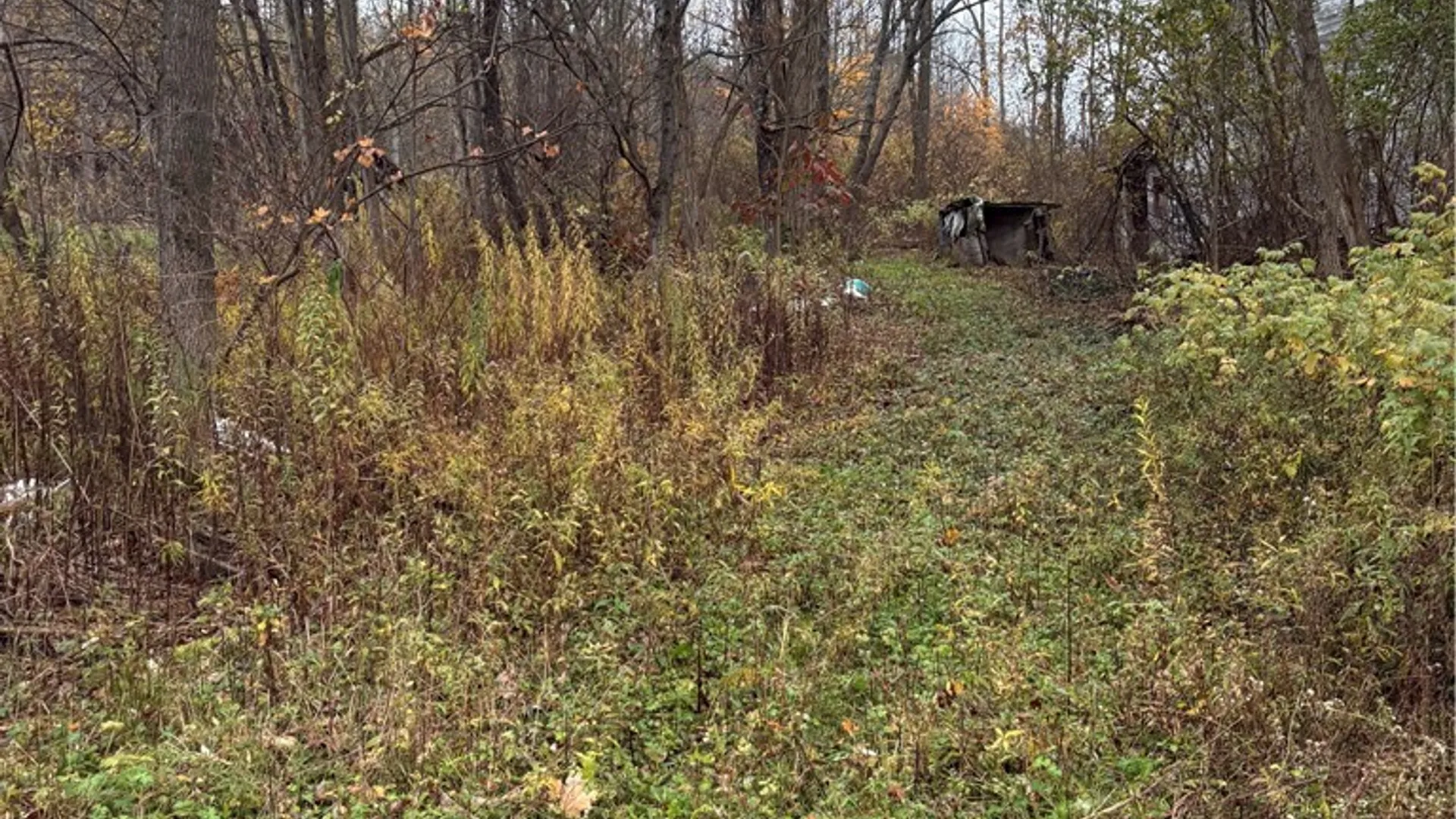 Property at 0 County Highway 13, Pittsfield, NY 13411 9