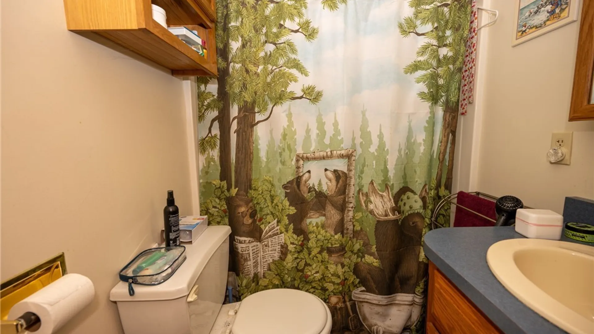 Property at 93 Martin Avenue, Hamburg, NY 14219 37