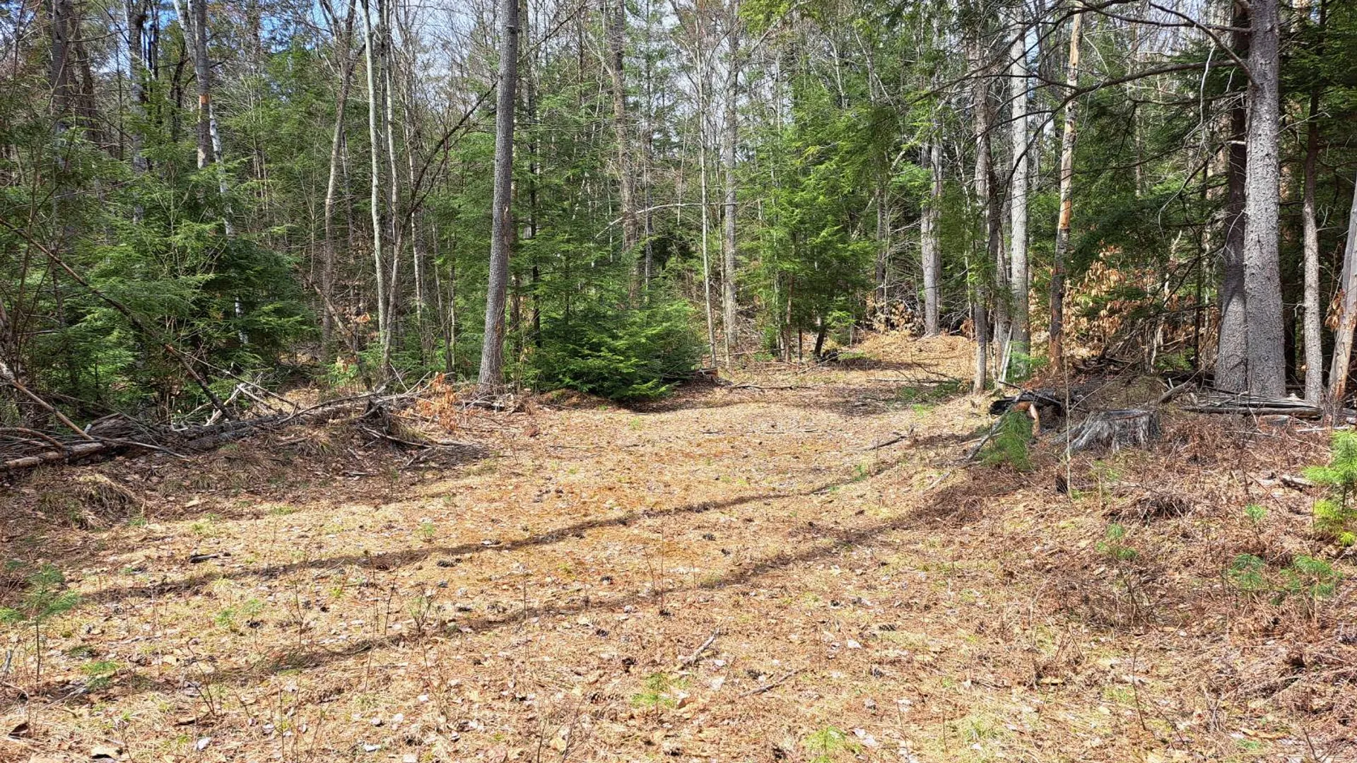 Property at L 21.1 Cloverleaf Drive, Warrensburg, NY 12885 48