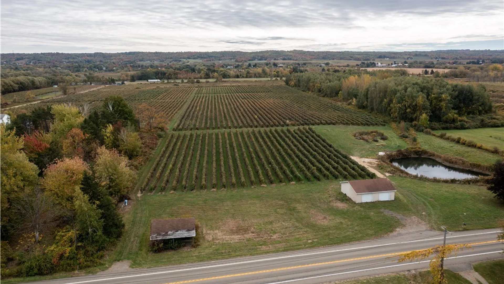 Property at Route 5 Road, Ripley, NY 14775 11
