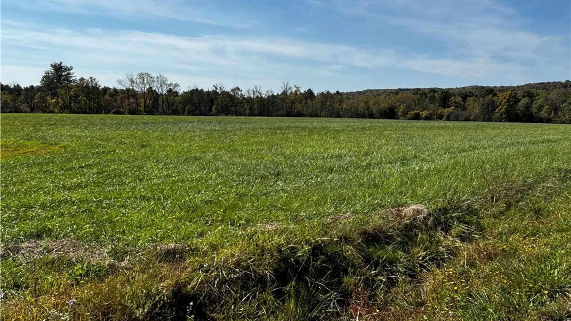 Property at 172 Ed Hill Road, Dryden, NY 13068 27