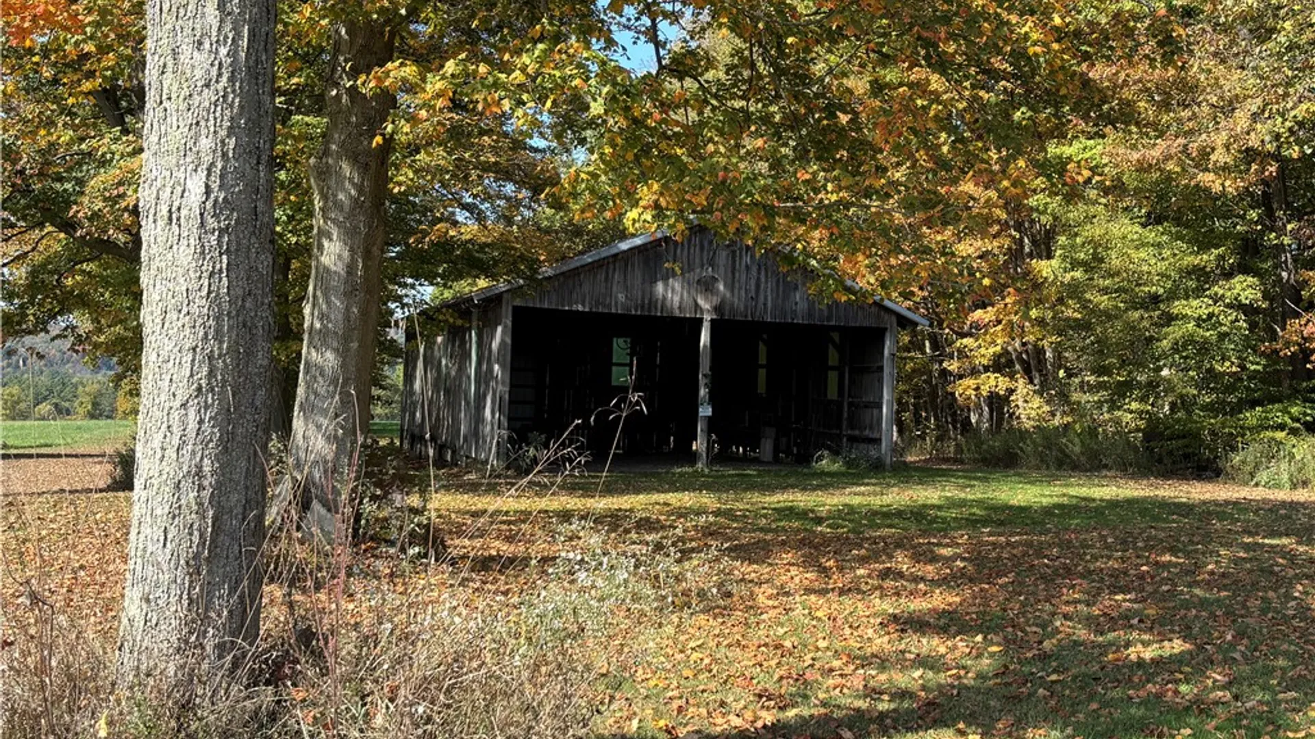 Property at 172 Ed Hill Road, Dryden, NY 13068 30