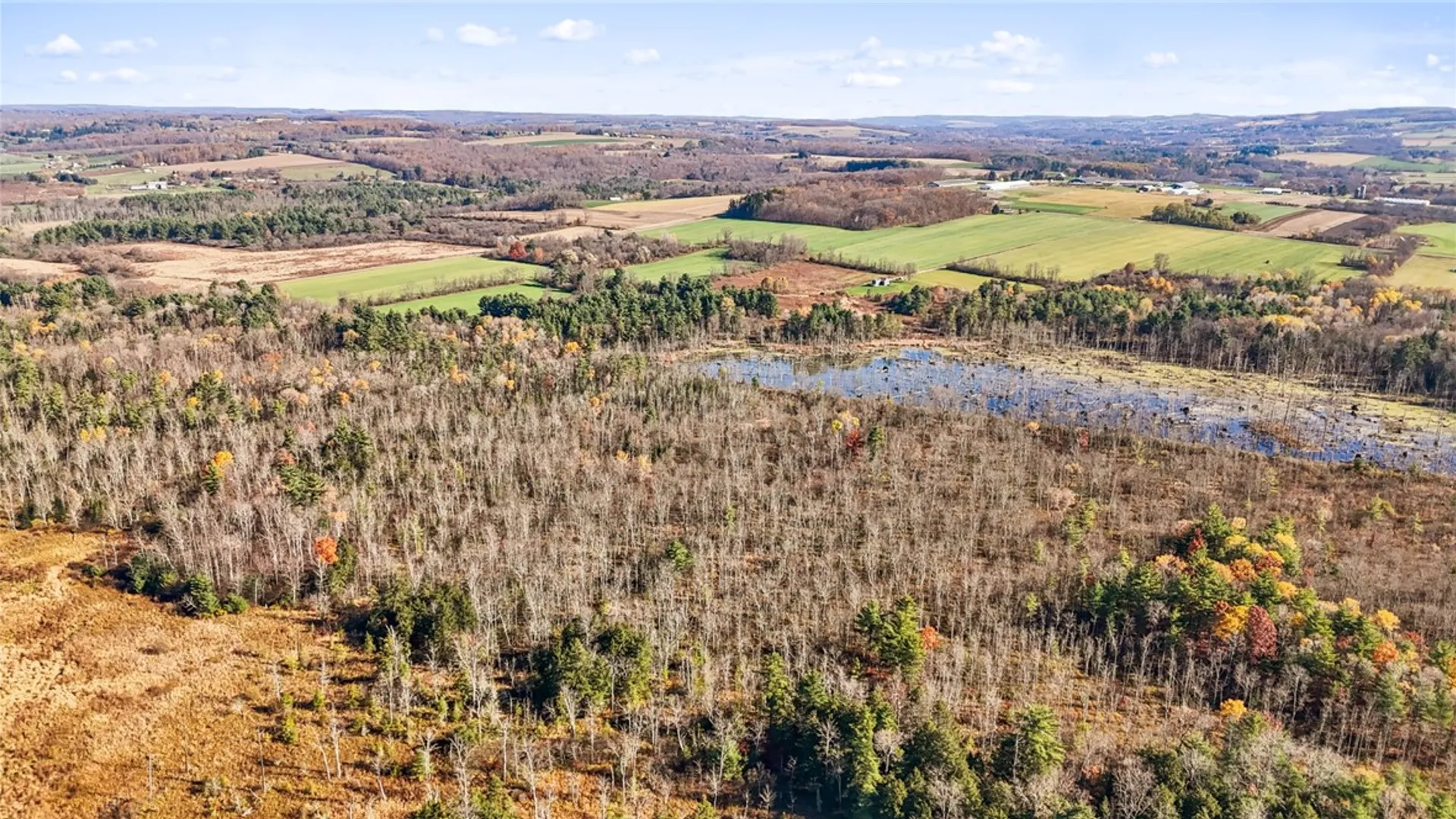 Property at 172 Ed Hill Road, Dryden, NY 13068 39